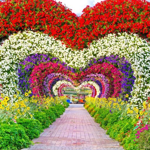 Miracle Garden & Global Village Dubai