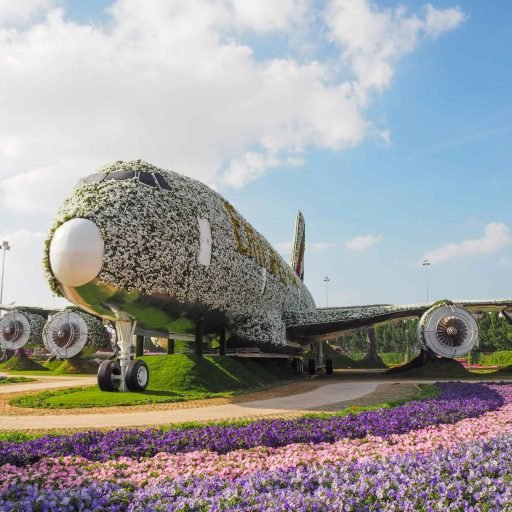 Miracle Garden & Global Village Dubai
