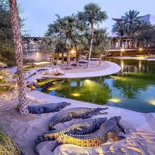 Dubai Crocodile Park