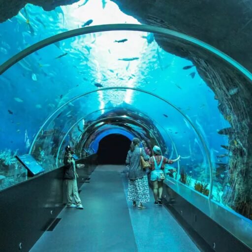 Dubai Aquarium
