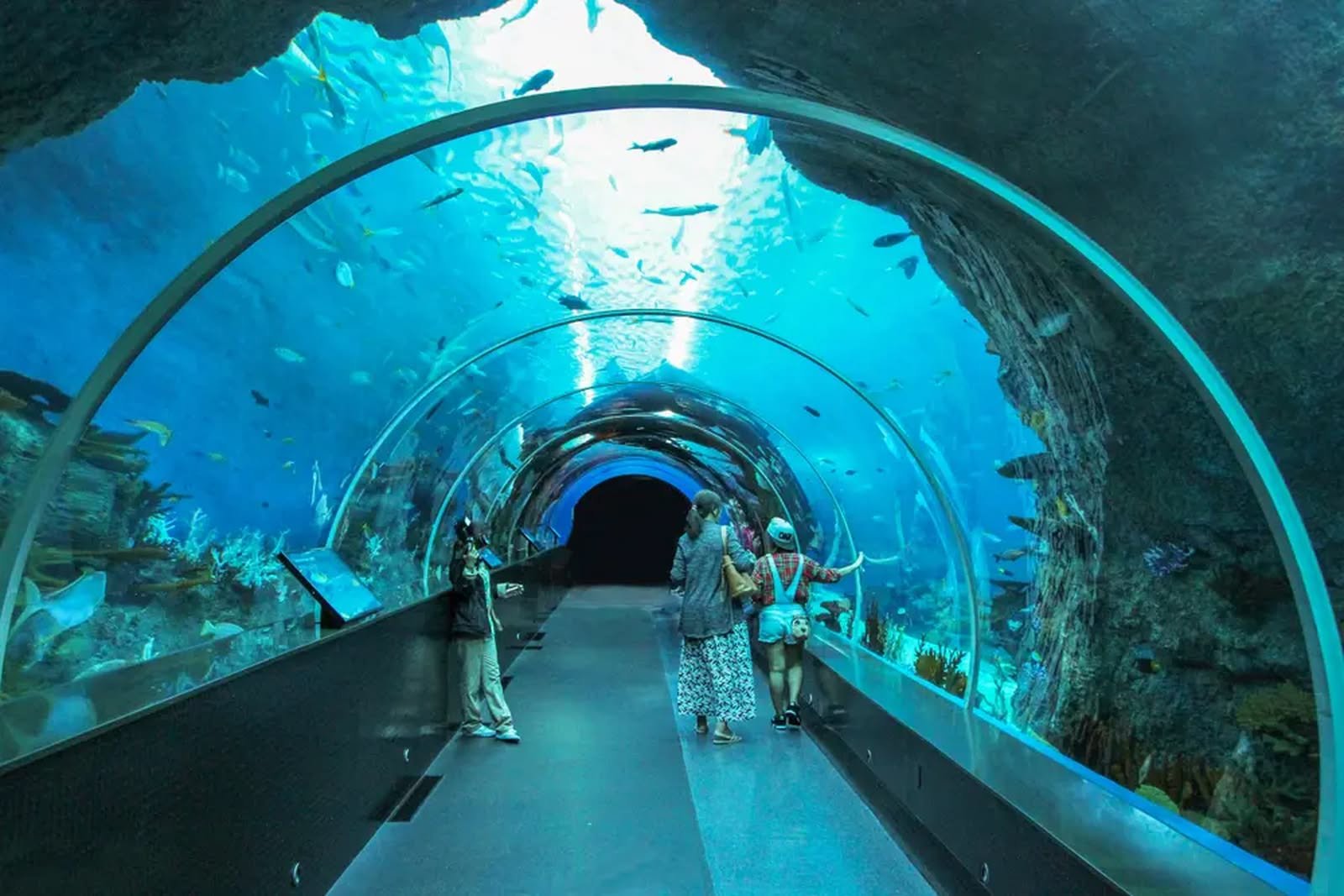 Dubai Aquarium