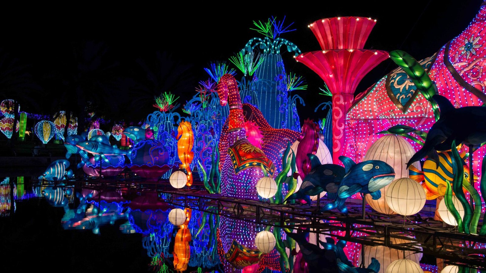 Dubai Garden Glow