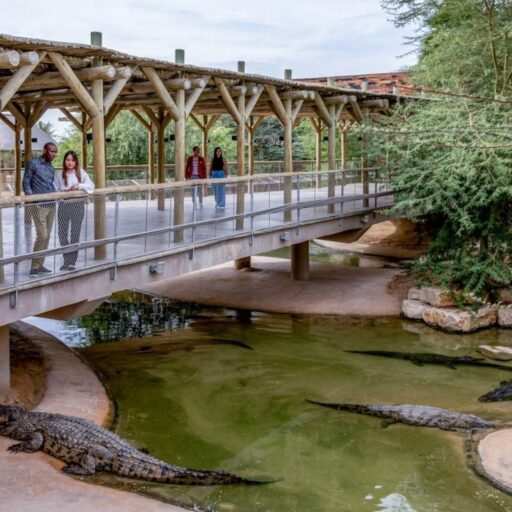 Dubai Crocodile Park
