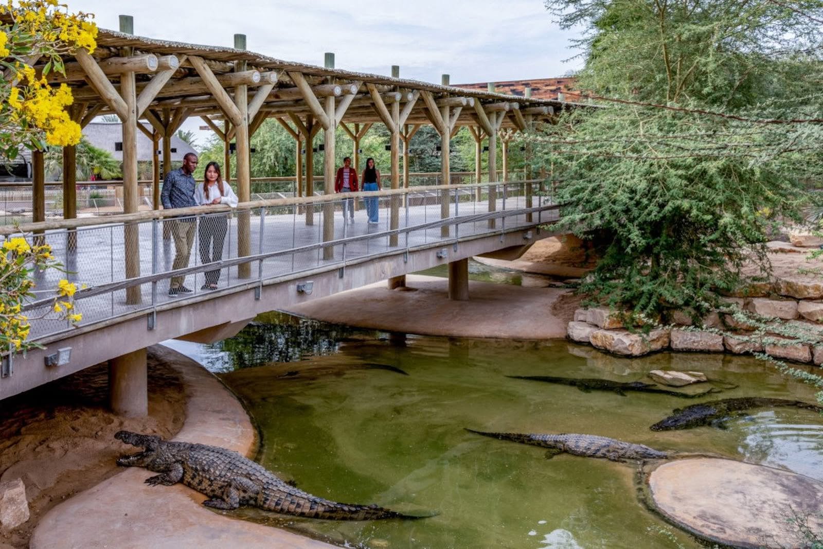 Dubai Crocodile Park