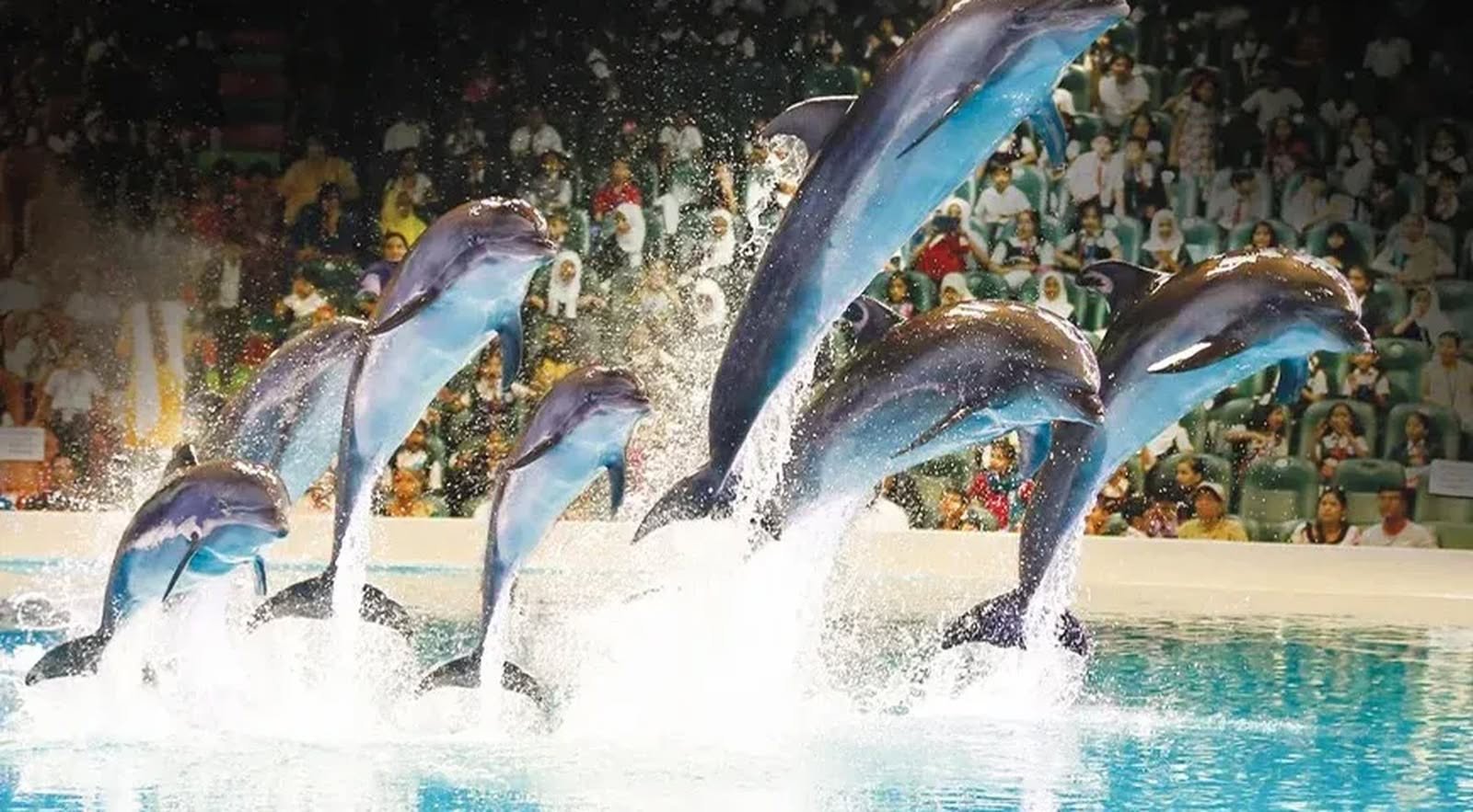 Dubai Dolphinarium