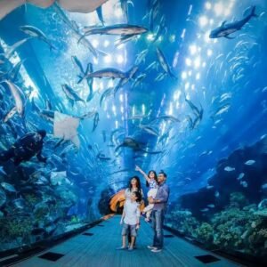 Dubai Aquarium