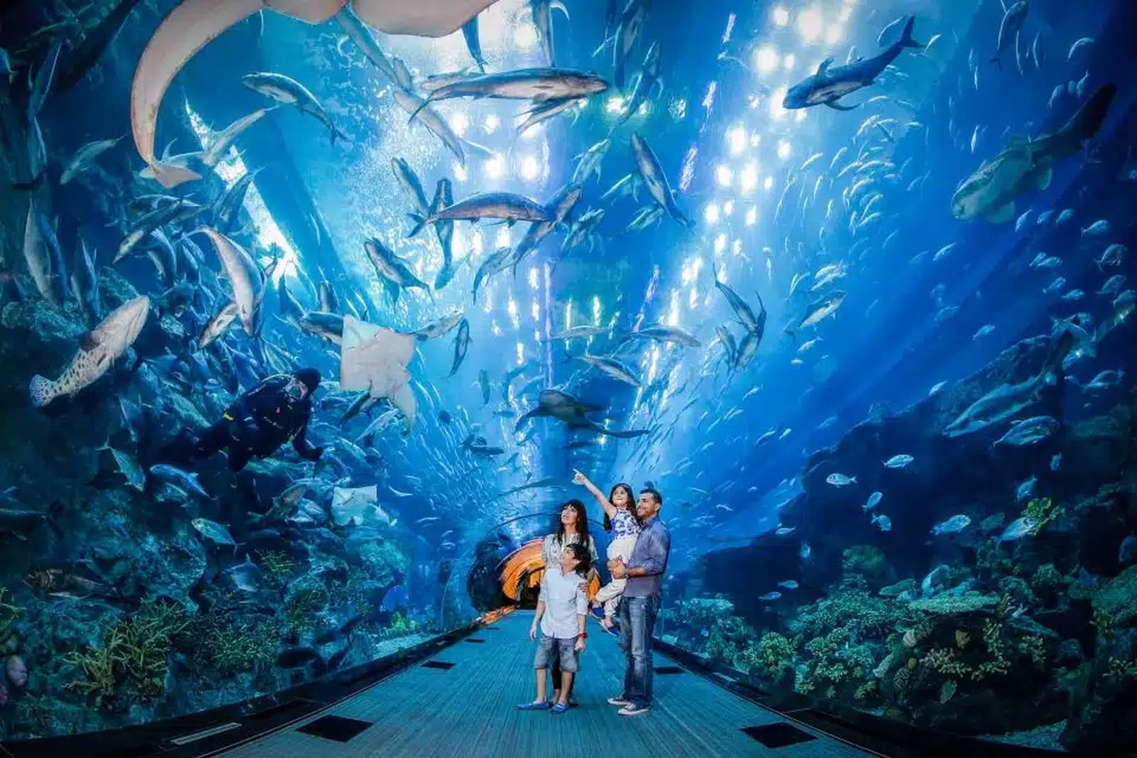 Dubai Aquarium