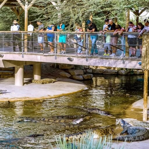 Dubai Crocodile Park
