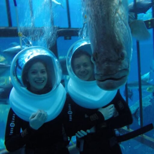 Dubai Aquarium