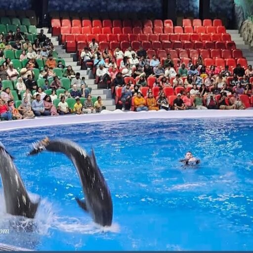 Dubai Dolphinarium