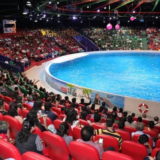 Dubai Dolphinarium