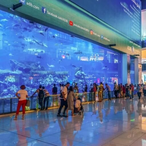 Dubai Aquarium