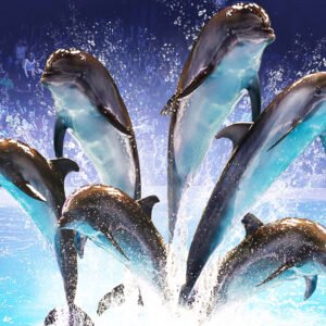 Dubai Dolphinarium
