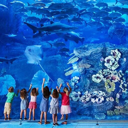 Dubai Aquarium