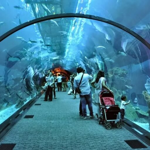 Dubai Aquarium