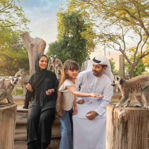 Dubai Safari Park