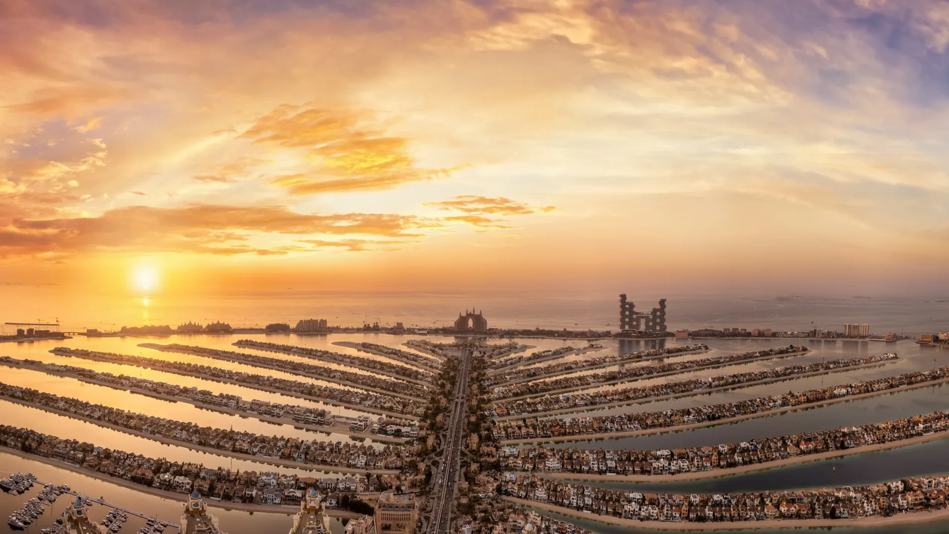 The View at The Palm