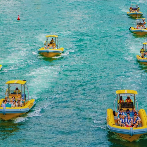 The Yellow Boats