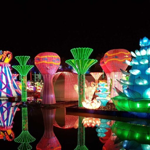Dubai Garden Glow