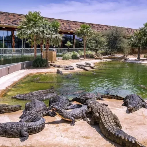 Dubai Crocodile Park