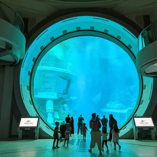 SeaWorld Abu Dhabi